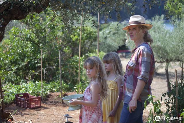 有关于爱情的电影推荐（欧美爱情高分电影有哪些）