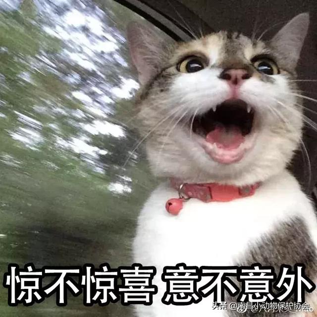 鸡皮肤是不是用硫磺皂