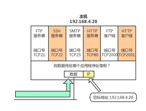 tcpip协议