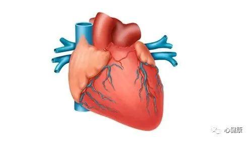 世界心脏日：远离这几件“伤心”事