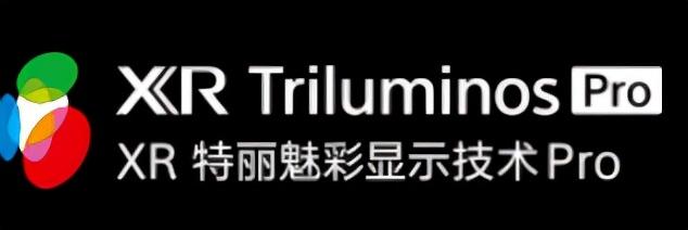 索尼电视怎么选？从原理到推荐，2021年索尼电视选购指南