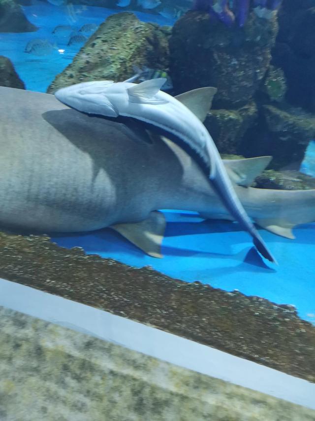 有能力就带孩子到处看看