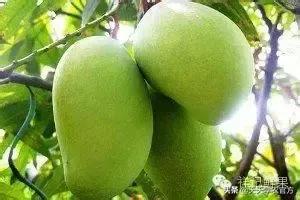 普洱单缸圆锥破碎机哪家价格便宜