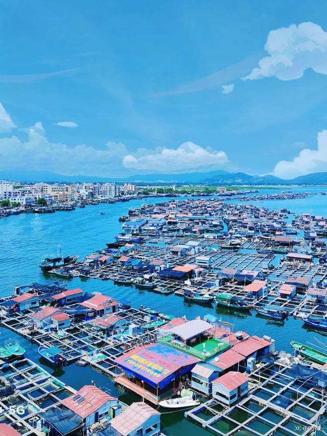 南湾猴岛好玩吗（南湾猴岛值得去吗）