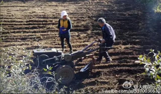 临沧轮式洗砂机报价
