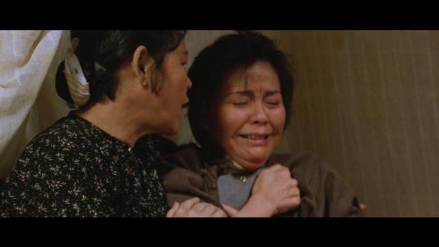 归亚蕾张梦奎哪一年结婚的（归亚蕾和张梦奎结婚56年）(25)
