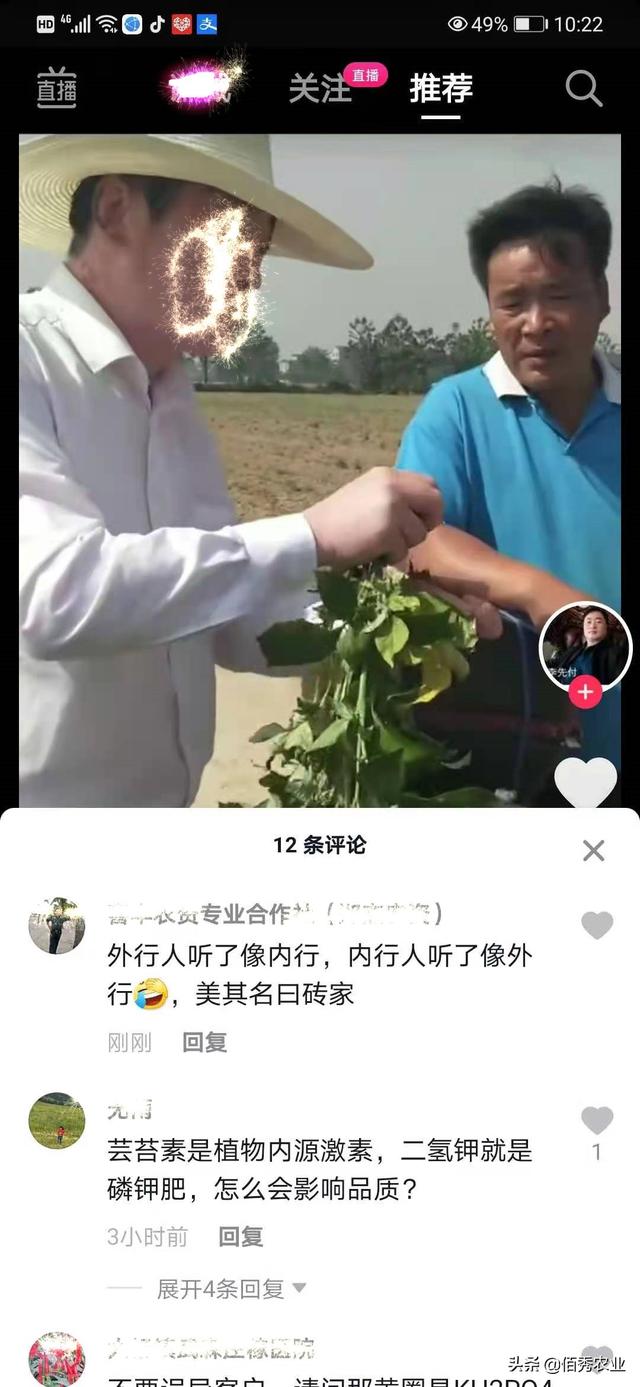 误用除草剂，农民辣椒减产已成定局，“空中”农业专家害人不浅4