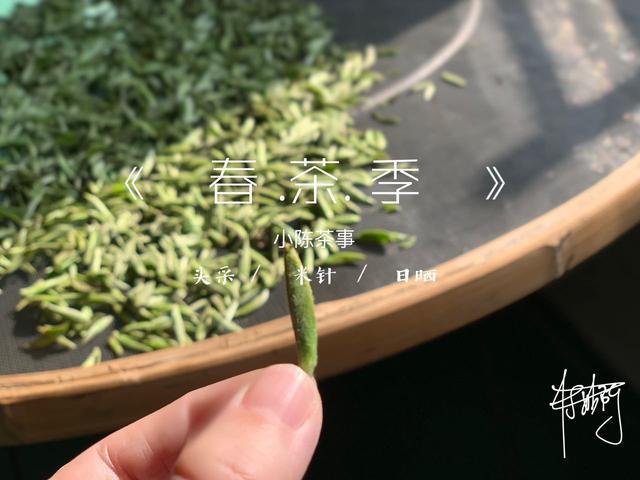 白茶有哪些