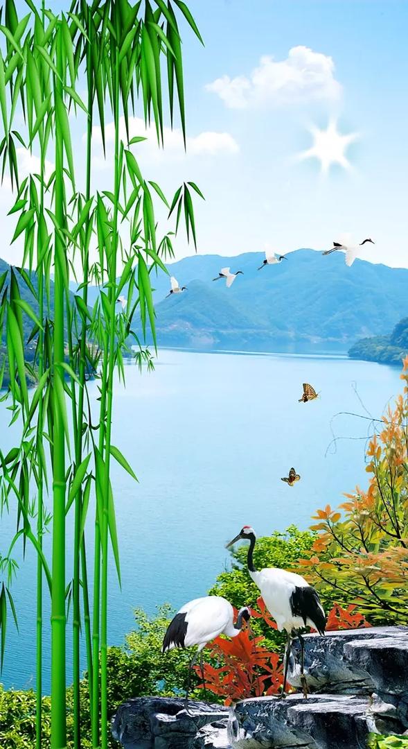 背景图无字简单(背景图纯白无字)-天晟网