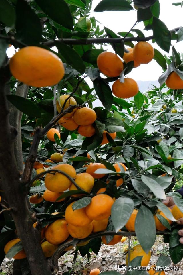 嘉峪关洗砂机厂家