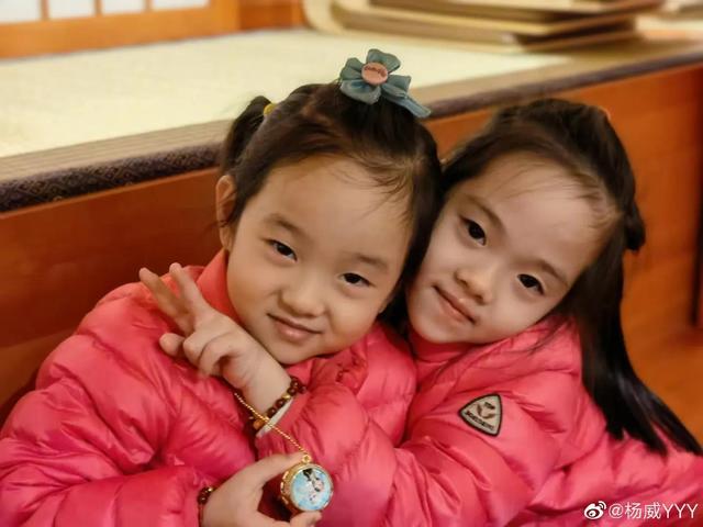 明星爱生多胞胎，盘点那些有名的多胞胎明星家庭