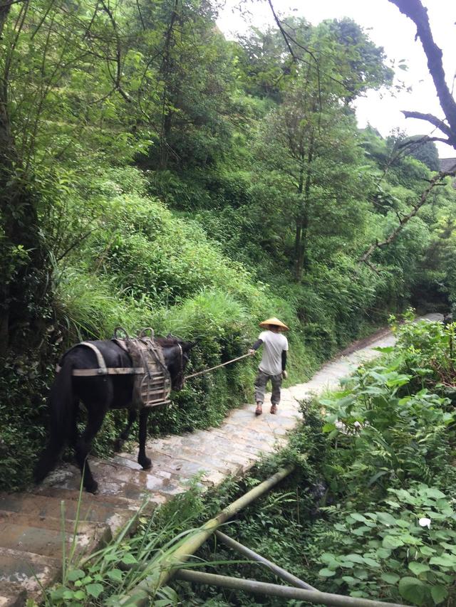 天门可逆锤式破碎机