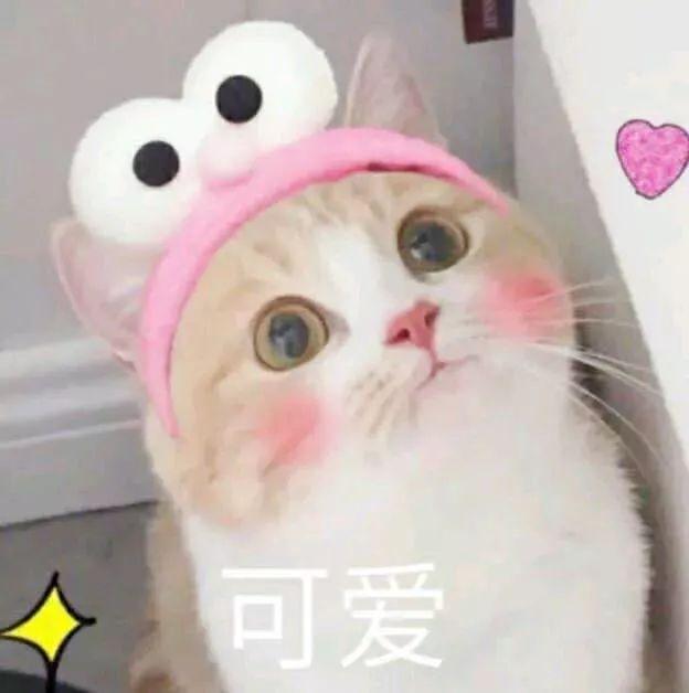 演员见组照一般都有哪些风格(演员见组照要几张)