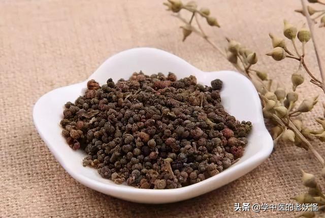 每日一中药——吴茱萸
