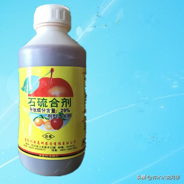 月季冬天需要喷药吗？寒冬腊月这样做，春暖花开无病害-许木木13