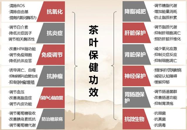 “茶健康产业前瞻分析报告”出炉！每天两杯茶，延长5~10年寿命