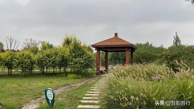 涼亭新立郊野公園,其實還有一條環形步道,走一圈下來應該有好幾公里.