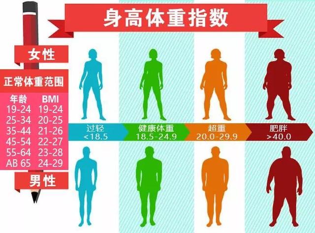 减肥不是减体重 而是减多余的脂肪 夏天来了你准备好减肥了吗 全网搜