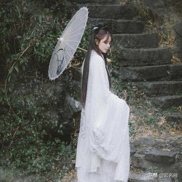淡雅是什么意思