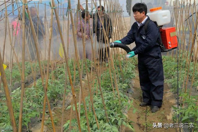 只要一把洗衣粉，除草不伤苗，干净！简单2点，越早知道越好7