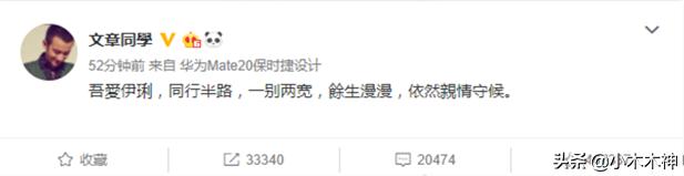 马伊琍发表离婚宣言（马伊琍发34字离婚声明）(6)