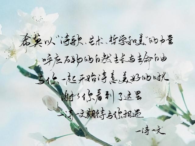 https://www.meipian.cn/56h4rs15