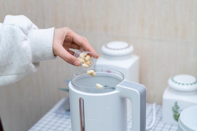 破碎机是什么东西都能放在一起吃吗