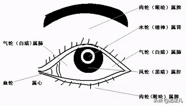 有了眼袋怎么办