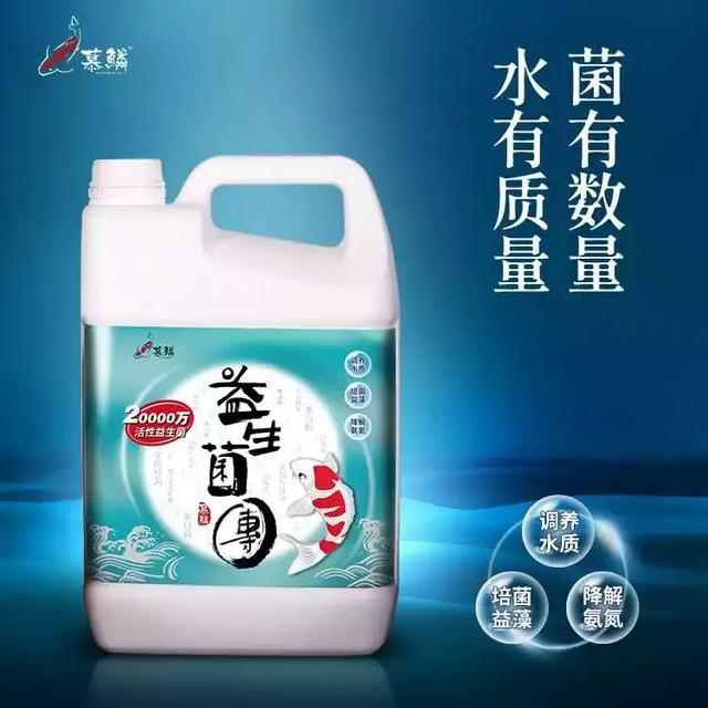 干燥过滤器蓝藻过滤机