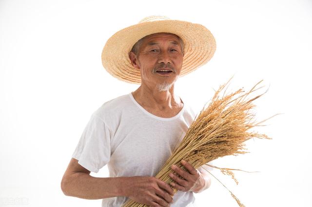 好事将近！2022年，养老金将有5大新变化，其中2个与农村朋友有关