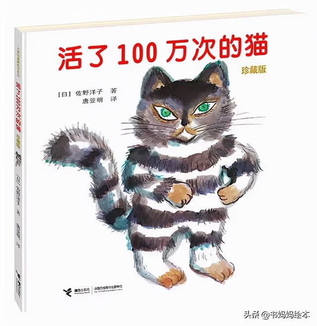 猫咪主题绘本推荐｜和孩子一同打开喵星人的世界