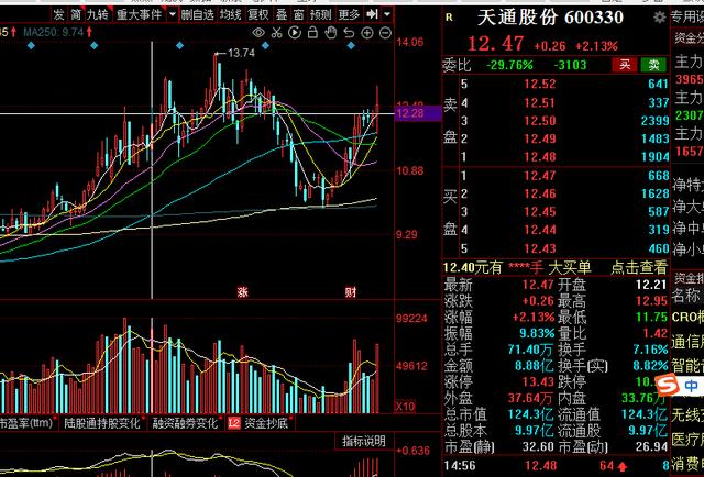 一家拥有稀土永磁，新能源汽车，军工概念的公司，市盈率才27倍