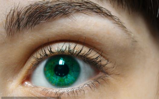 第一种绿色眼睛.