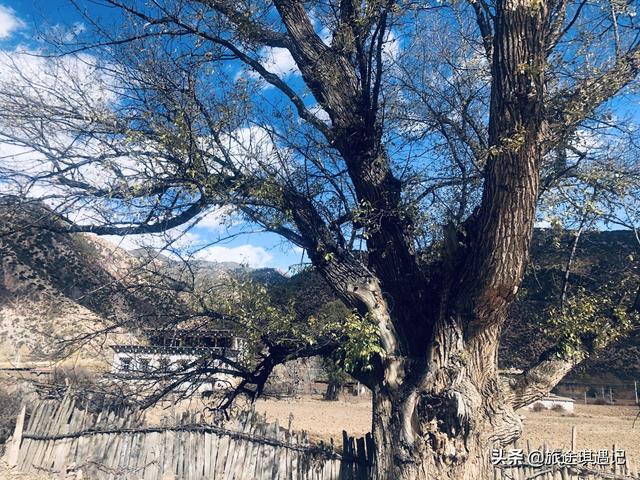 ��214��ع�·����Ӧ����ô�棿9��8ҹ�ľ����г̱�����ط��