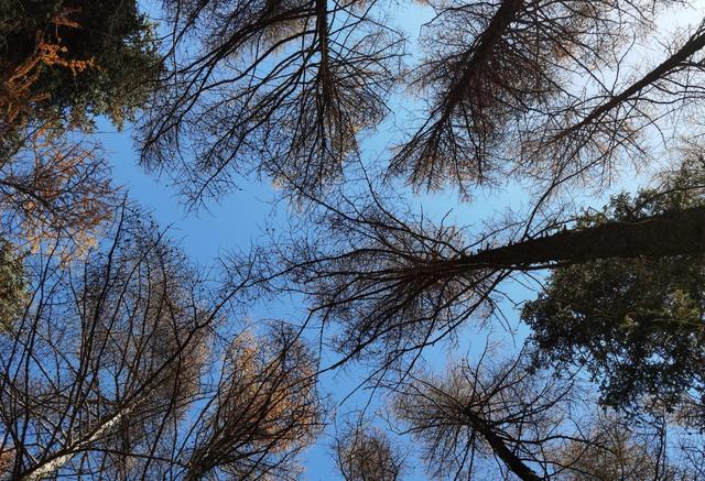 周一这三个板块或将迎来大幅上涨