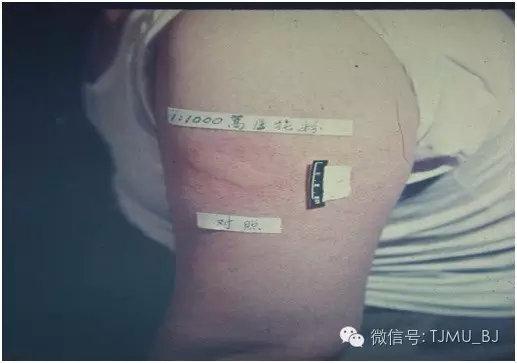 徐州全自动陶瓷过滤机厂家