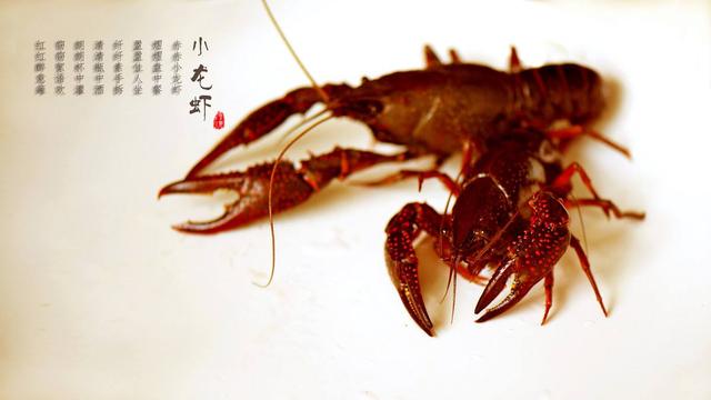 清道夫是什么 清道夫是什么（血管的清道夫是什么） 生活