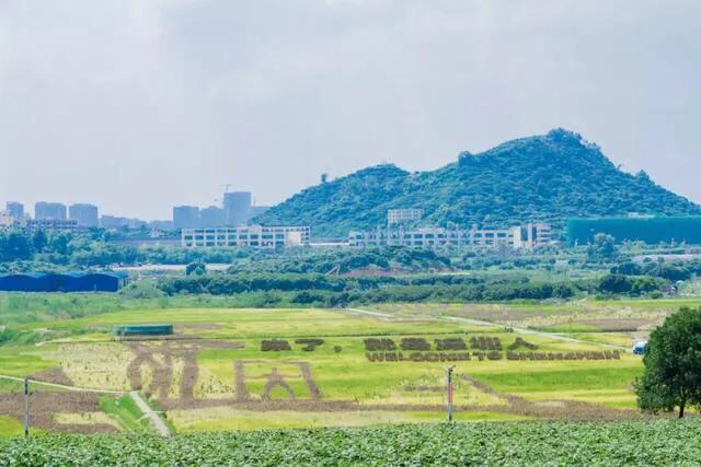 深圳机械展可以带小孩