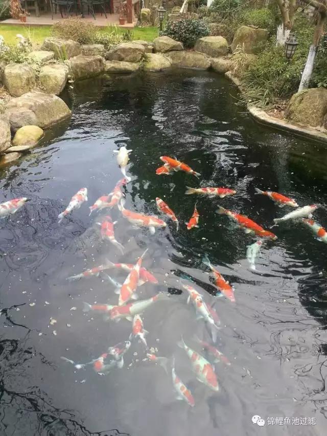 山东转鼓式过滤机多少钱一台