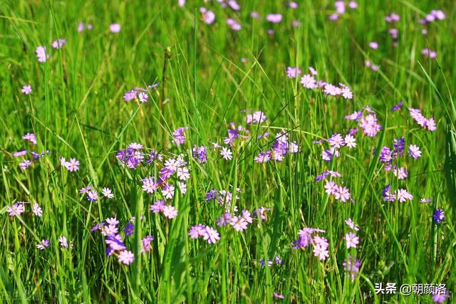 孩子捡到一元硬币你会怎么做？虽然迂腐但是我还是选择这样做