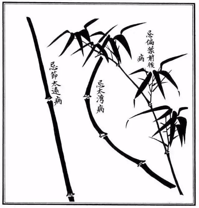 竹子怎么画 竹子怎么画