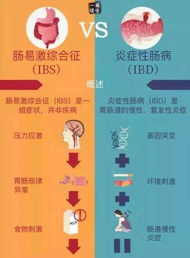 肠易激综合征的诊断标准和中医辨证论治及用方用药