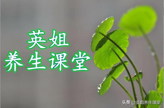 为什么每天都要吃够12种以上的食物？