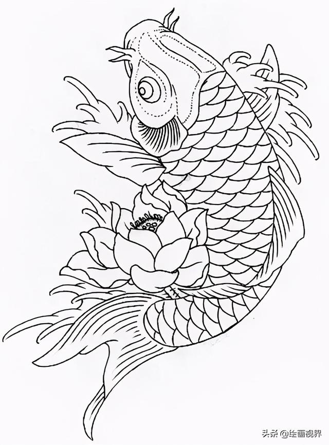 锦鲤怎么画