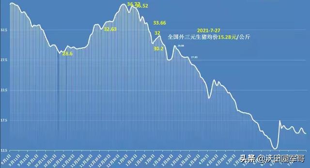 7月28日猪价预测 弱势横盘 具体反弹 21年7月28日猪价分析 太阳信息网