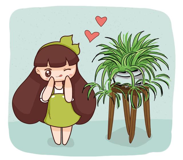 吊竹梅