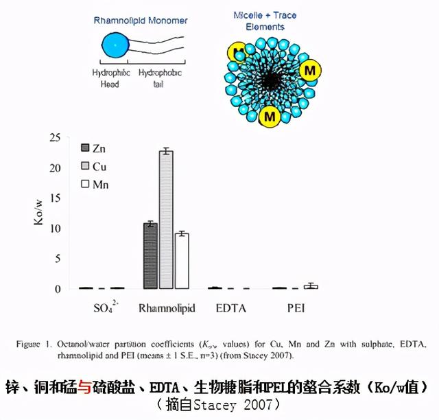 生物糖脂—改良和修复土壤的利器5