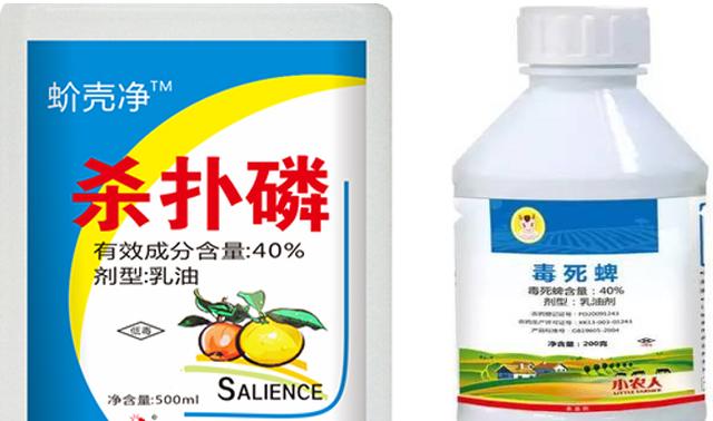 杀扑磷禁用、毒死蜱抗性大，蚧壳虫有蜡质层难打？可试试螺虫乙酯3