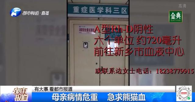 紧急求助！新乡一女子急需熊猫血，家人急疯了