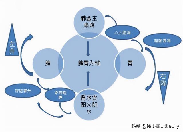 圆运动必学 黄元御一气周流医案 太阳信息网